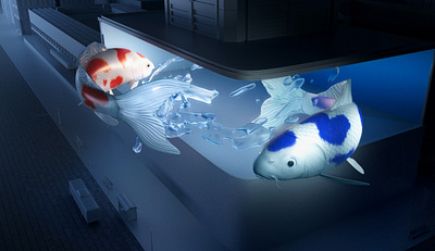 3D Koi Splash 3d concept design creative design graphic design