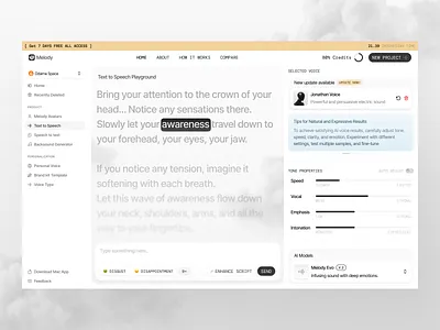 Melody - AI Voice Platform ai ai dashboard clean dashboard dashboard design design product design saas saas dashboard text to speech tone of voice ui ui design uiux uiux design ux voice avatars dashboard voice platform voice to text voice to text dashboard