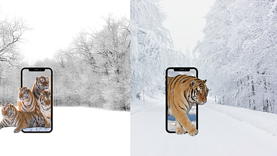 WILD ESCAPE 3d graphic design