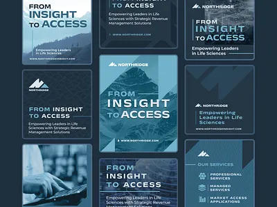 Northridge Branding Project - Social Media Designs social media