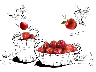 Digital illustration with photorealistic elements black and white digital illustration illustration illustration art ink art magdalena illustration magdalena żołnierowicz watercolor watercolor art