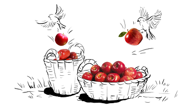 Digital illustration with photorealistic elements black and white digital illustration illustration illustration art ink art magdalena illustration magdalena żołnierowicz watercolor watercolor art