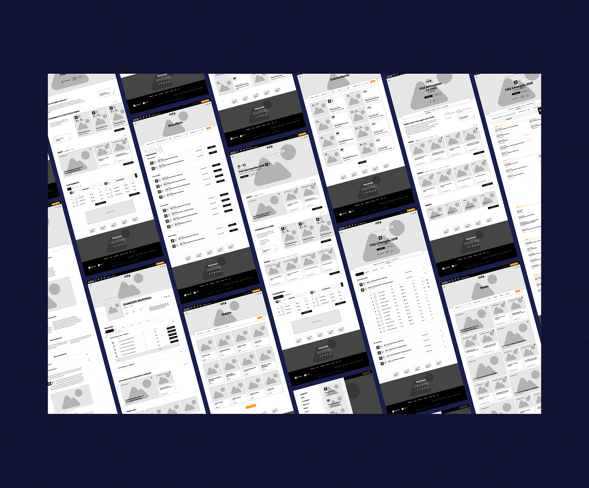 FISE website redesign Image 5
