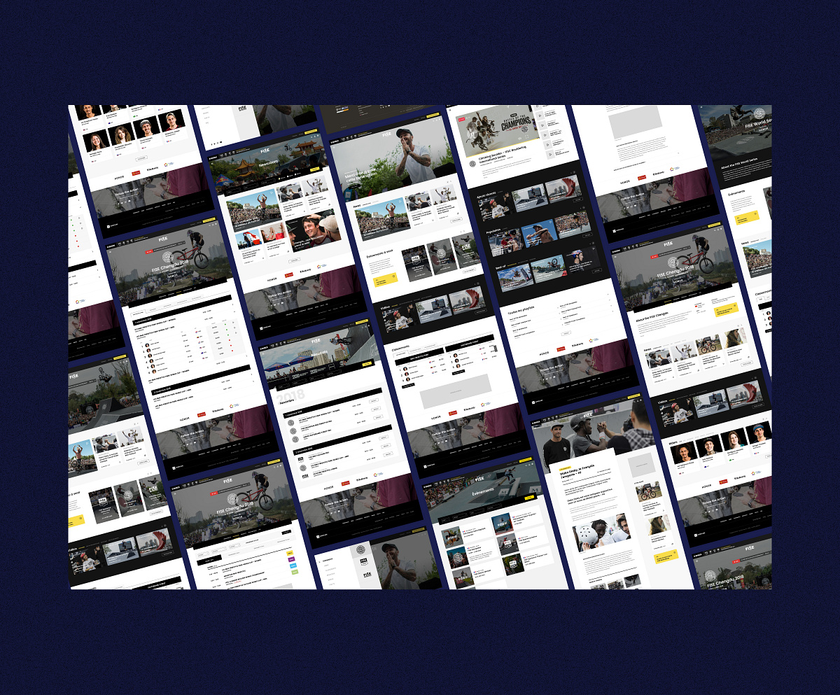 FISE website redesign Image 7