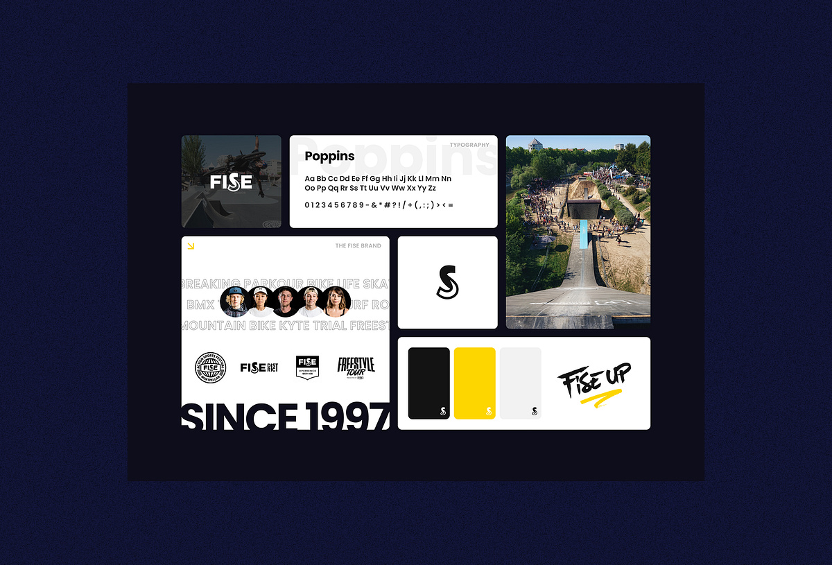 FISE website redesign Image 2