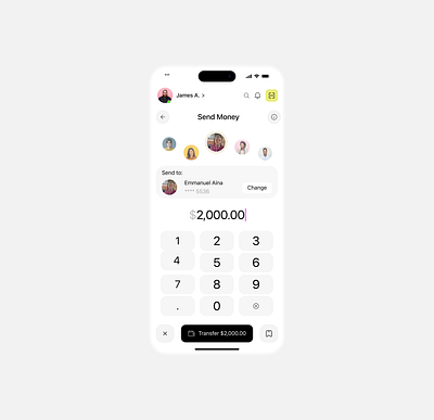 Money Transfer graphic design send money ui
