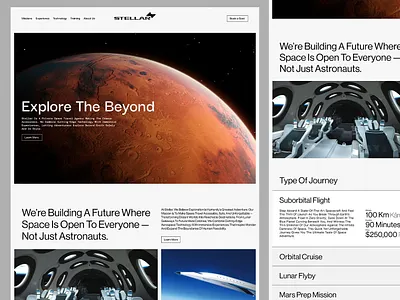 Stellar branding design logo logodesign mark minimal moderm space stellar tech ui uidesign webdesign