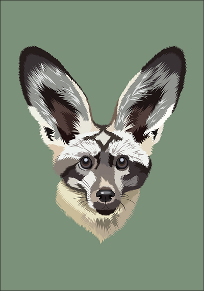 Plompy art big eared fox digitalart fox illustration vector