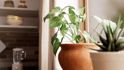 "The Kitchen" Plants 3d 3d art after effects art c4d cinema4d design illustration light modeling motion motion design motion graphics plants realistic redshift render