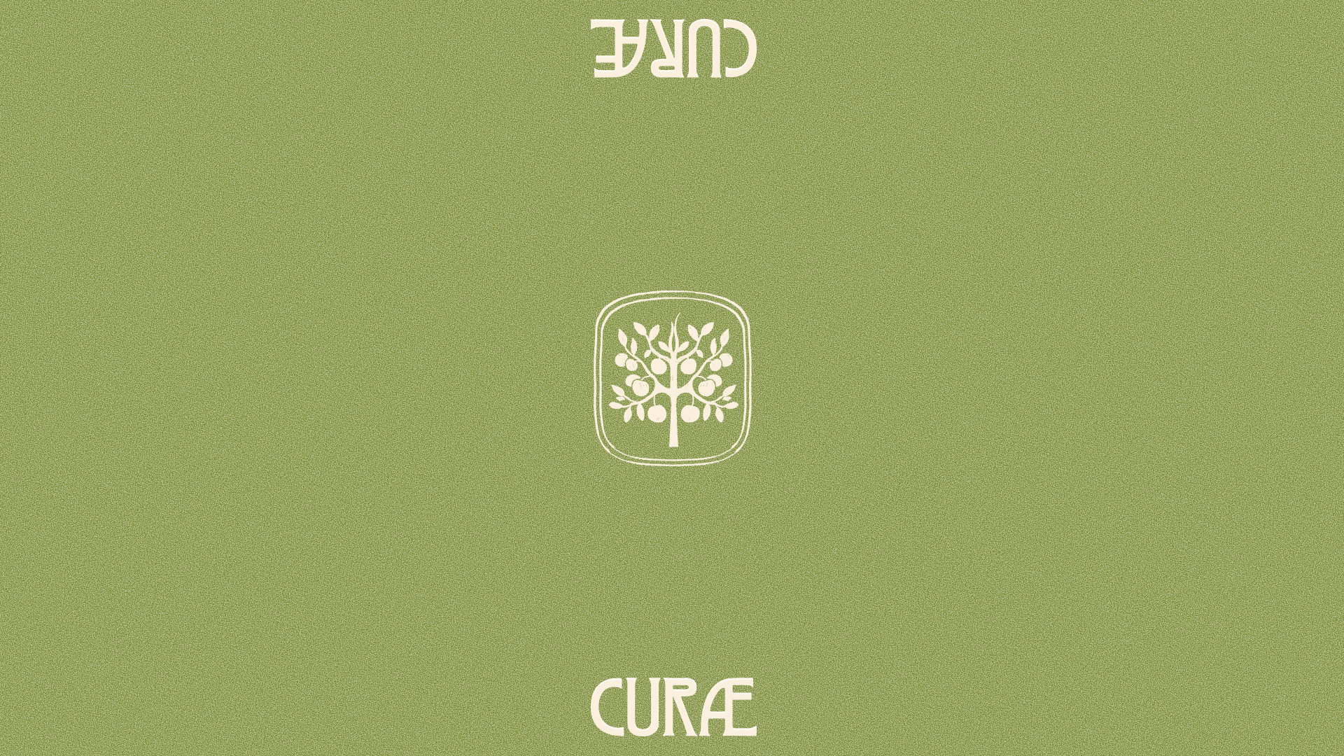 Curæ | DTC Skin Care Brand beauty brand branding design identity illustration logo makeup people skin skin care typography ui web