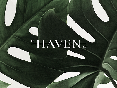 Haven Wordmark branding design elegant logo graphic design interior design leaf logo luxury logo minimalist logo plant vector wordmark