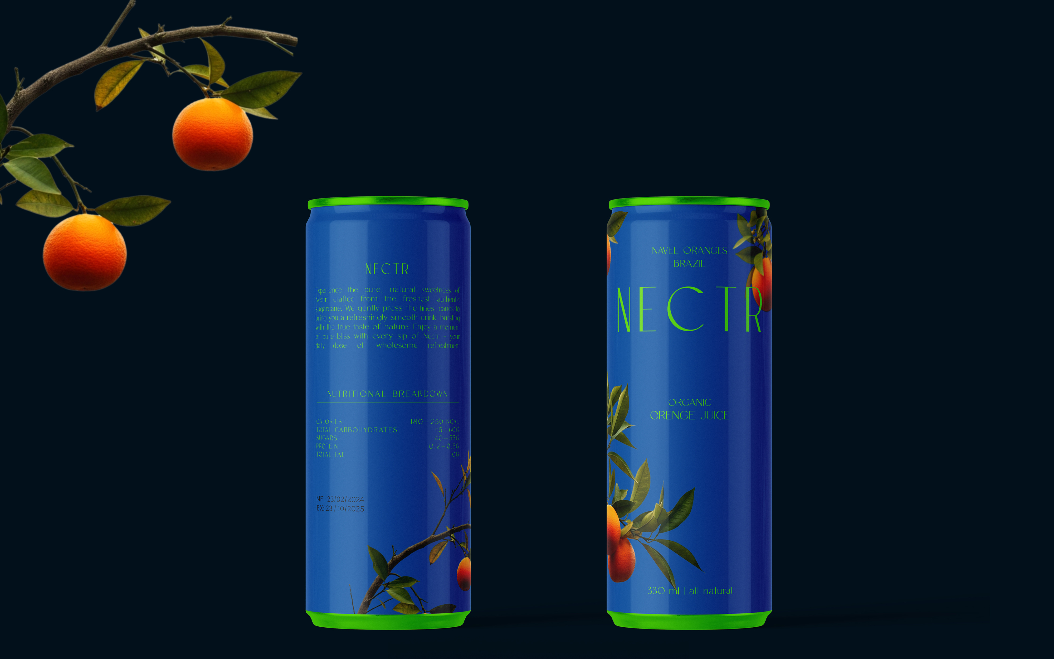Example of Full Packaging Design + Branding Service