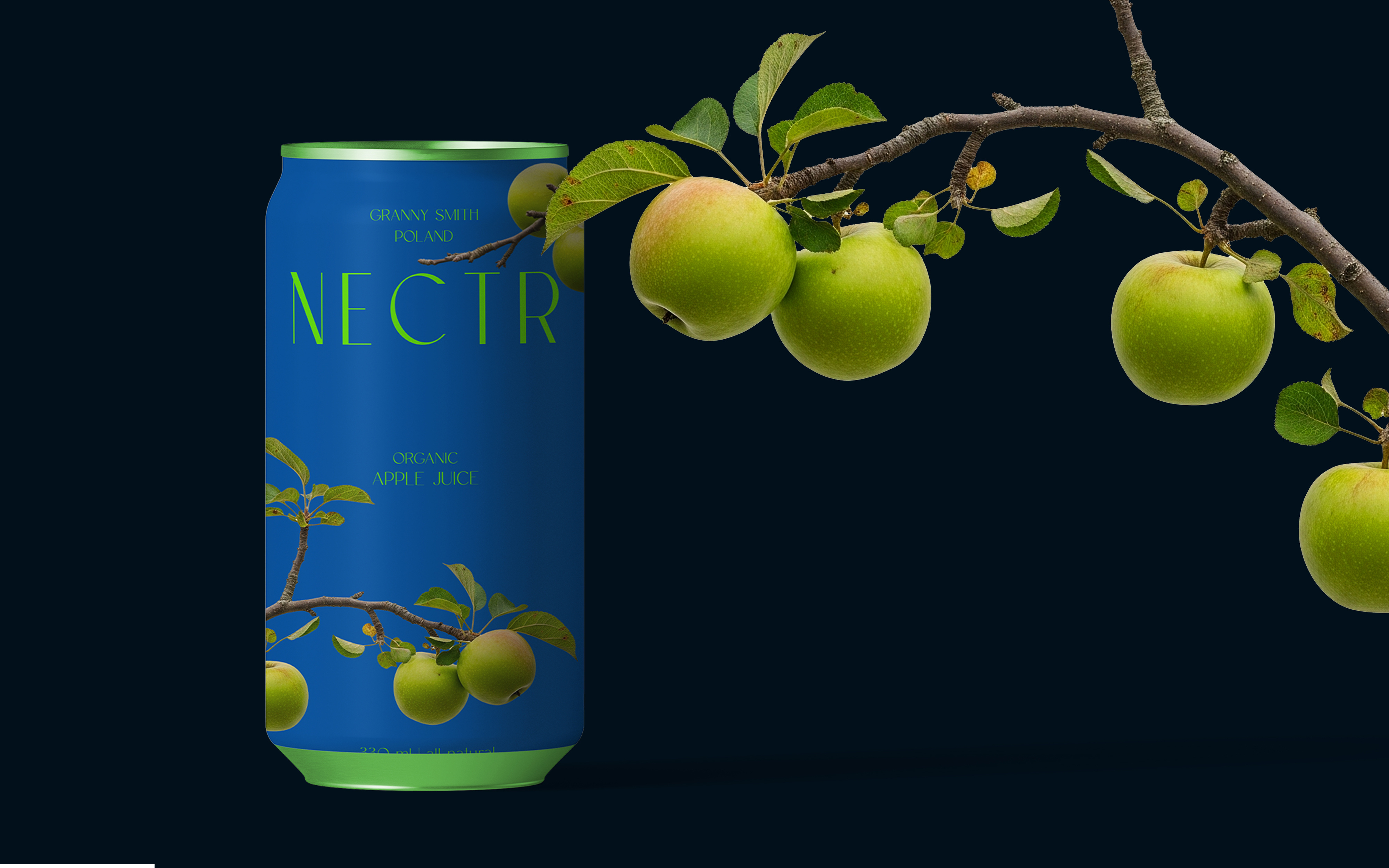 Example of Full Packaging Design + Branding Service