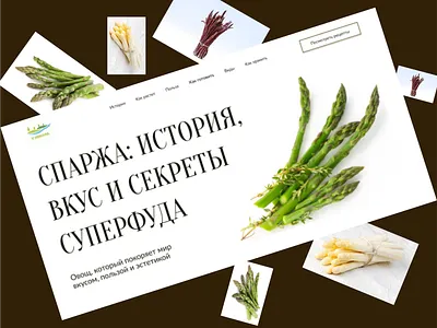 Лонгрид про спаржу design ui ux веб дизайн лонгрид спаржа