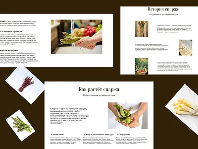Макет лонгрида о спарже: история и выращивание design ui ux веб дизайн лонгрид спаржа