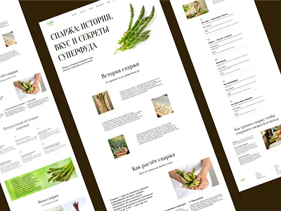 Лонгрид про спаржу design ui ux веб дизайн лонгрид спаржа спаржа лонгрид
