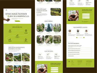 Лендинг для садового центра design ui ux веб дизайн лендинг питомник растений растения садовый центр