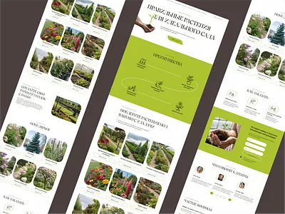 Лендинг садового центра design ui ux веб дизайн лендинг питомник растений растения садовый центр