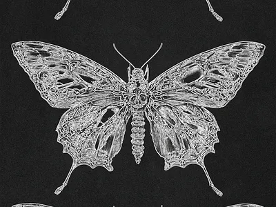 Album art design album art cover art design graphic design