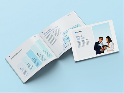 Sales Enablement Framework eBooks Design book design ebook indesign print publication