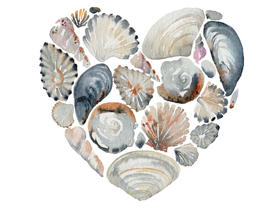 Shell Heart Watercolour Alternative Valentines Card botanical branding card card design design illustration nautical seashell shells valentines card watercolor watercolour watercolour card
