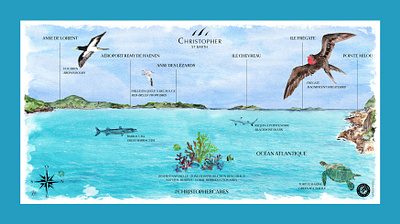 Graphic Design & Illustration // Christopher St Barth graphic design illustration watercolor