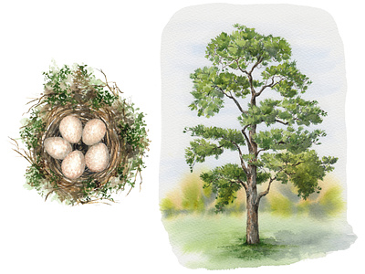 The Great Outdoors: Tree painting and Birds nests Watercolour birds eggs birds nest botanical branding design illustration nature scots pine tree tree painting watercolor watercolour watercolour flowers