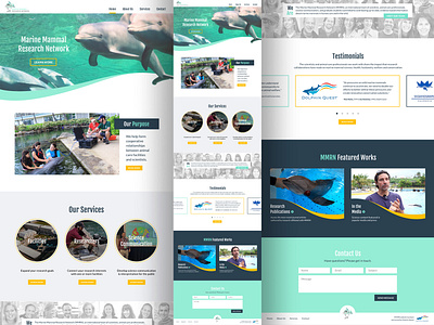 MMRN design develop graphic design one page web design website