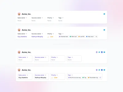 Account details account add tag apollo company company details create tag crm hubspot lusha manage details manage tag outreach owner priority sales sales owner salesforce select priority tag zoominfo
