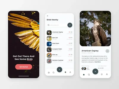 Wildlife Viewing App