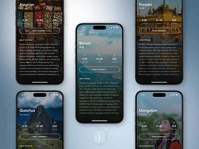 Lingua App Concept
