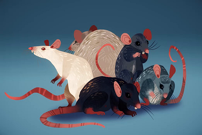 My Ratties 🐀 2d 2d animation animation cartoon cycle loop madewithspine motion rat spine