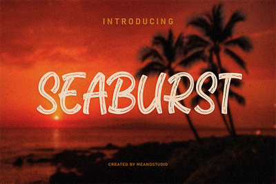 Seaburst – Brush Display Font hand drawn font