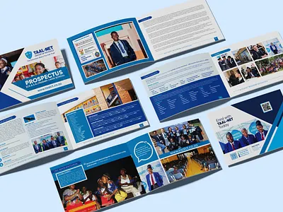 Prospectus Design branding creativity flyer design graphic design graphic designer illustration