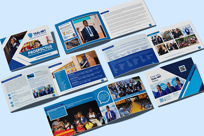 Prospectus Design branding creativity flyer design graphic design graphic designer illustration