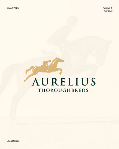 Aurelius Branding branding graphic design logo ui
