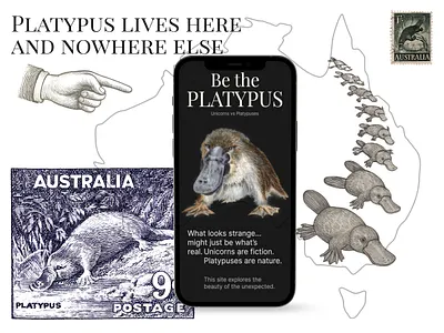 Unique Habitat creative direction design illustration landing page ui web design