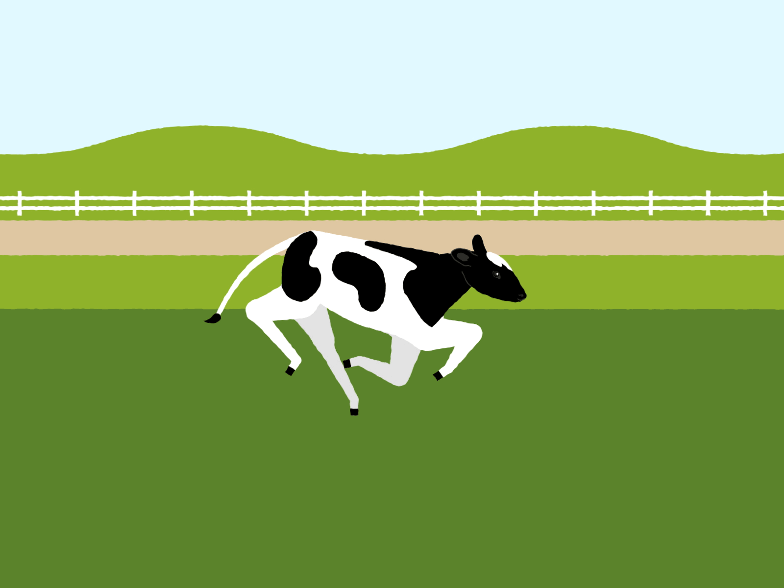 SCCL - Cow Run Loop animal animation baby calf character cow cute dairy farm farming motion movement run running running cycle