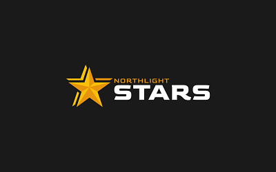 Northlight Stars Logo Design artwork business logo creative design graphic design illustration logo logo design minimal logo minimalist star star logo