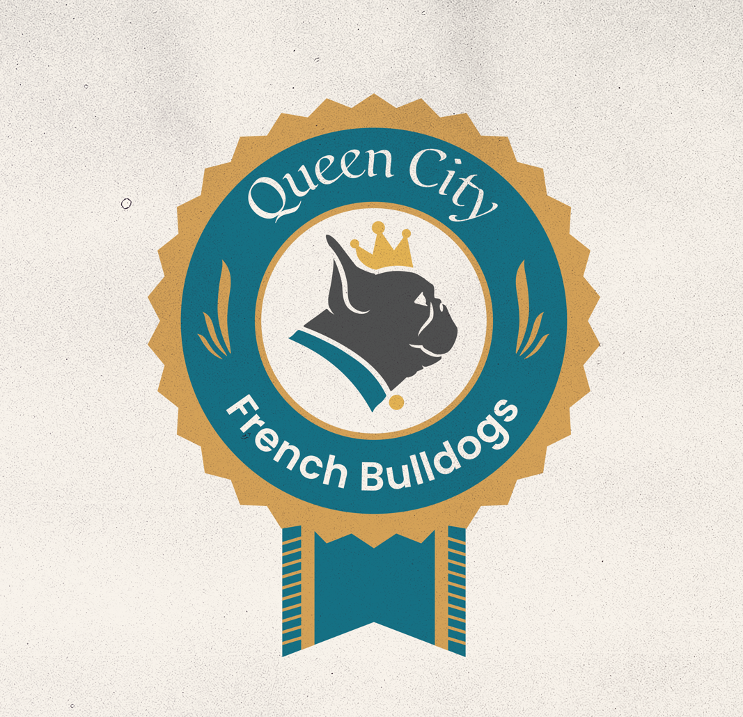 Queen City French Bulldogs animal animal logo brand branding bulldog city design dogs frenchbulldog graphic design icon ide identity illust illustration logo queen city stamp texture vector