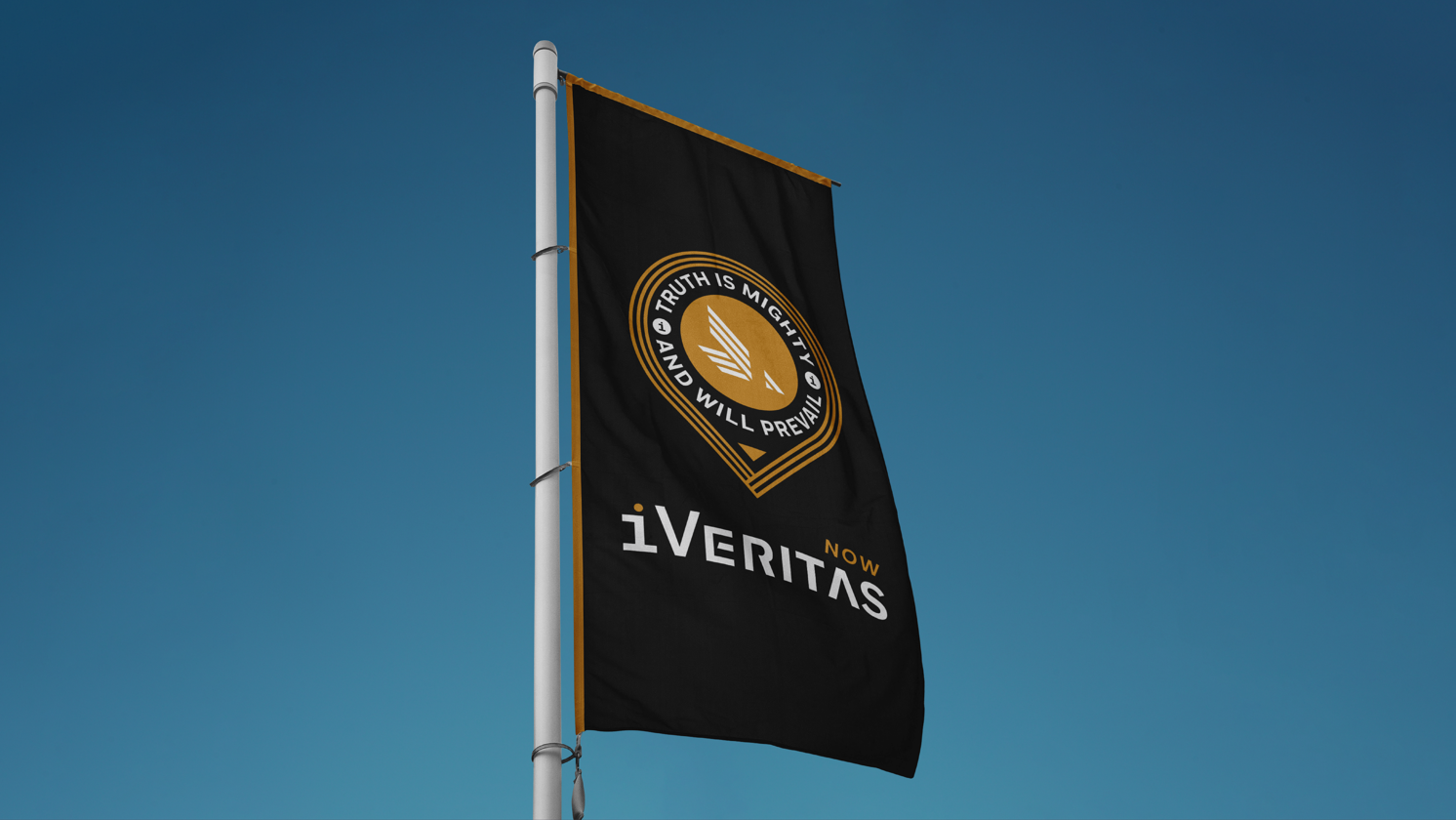 iVeritas Now animal animal logo black and gold brand brand guide branding design eagle graphic design guide icon identity law logo logo design polygraph test testing truth vector