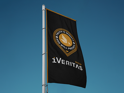 iVeritas Now animal animal logo black and gold brand brand guide branding design eagle graphic design guide icon identity law logo logo design polygraph test testing truth vector