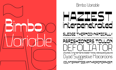 type design - bimbo variable design font type typography variable