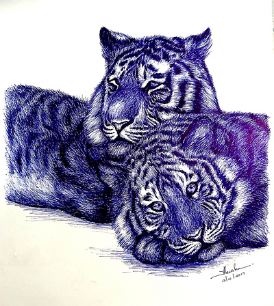Couple animals art artwork ball point pen couple hand drawn love nature pen art sketching tiger wildlife