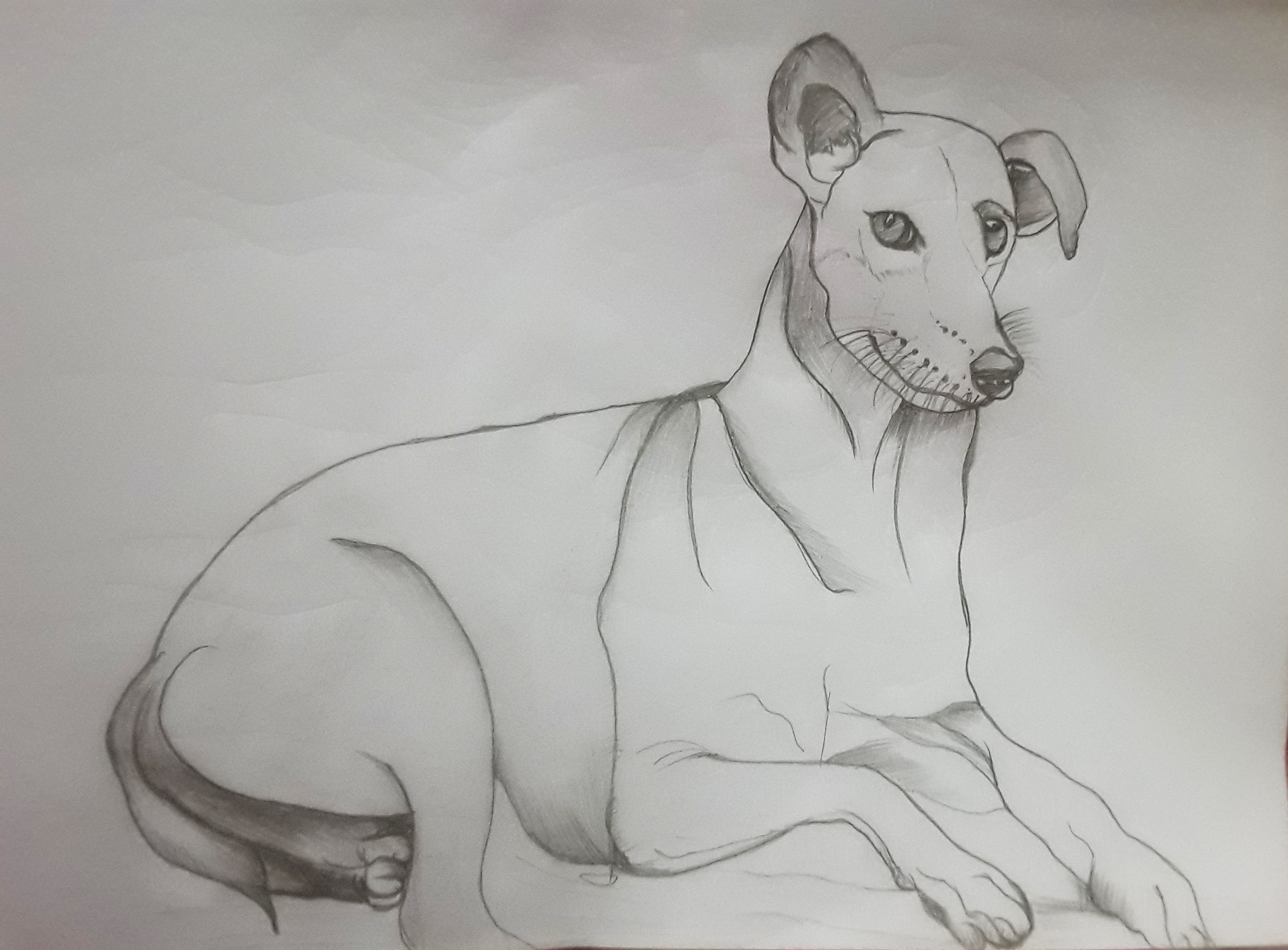 My Sketchbook arts animalsketch artwork drawing fine arts humanssketch landscape pencilsketch portrait sketching