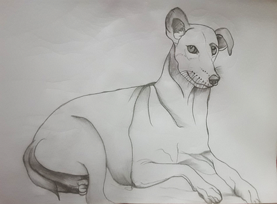 My Sketchbook arts animalsketch artwork drawing fine arts humanssketch landscape pencilsketch portrait sketching