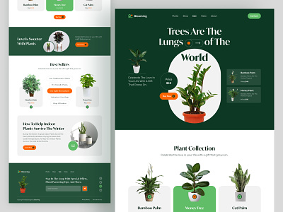 Plant Shop E-Commerce Landing Page cactus clean design ecommerce flower flowers garden gardening leaf leaves nature plant plant store planting shop tree tree plantation ux web website