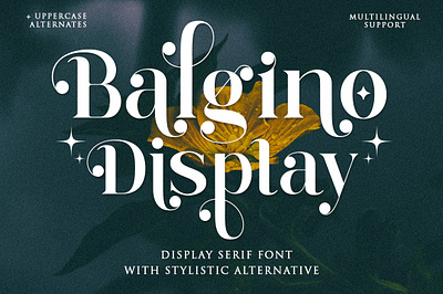 Balgino Display animation best seller branding design fashion font font awesome font design handmade illustration serif smoothie ui vintage