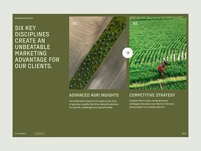 ⬤ Evergreen Fields | Content Page and Carrousel — 207 case study concept daily design eddesignme el salvador userexperience web page