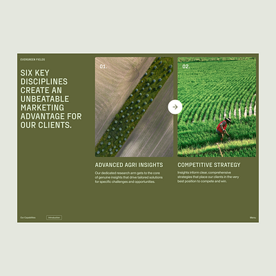 ⬤ Evergreen Fields | Content Page and Carrousel — 207 case study concept daily design eddesignme el salvador userexperience web page